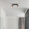 Globo HOLLSY Ceiling Light black, 2-light sources