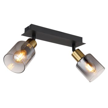 Globo HOLLSY Ceiling Light black, 2-light sources