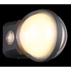 Globo ILLI Outdoor Wall Light LED anthracite, 1-light source, Motion sensor