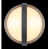 Globo ILLI Outdoor Wall Light LED anthracite, 1-light source