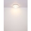 Globo MUCKY Ceiling Light LED chrome, 1-light source, Remote control