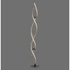 Paul Neuhaus POLINA Floor Lamp LED black, 1-light source
