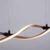Paul Neuhaus POLINA Pendant Light LED black, 1-light source