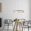 Paul Neuhaus Q-BELUGA Pendant Light LED gold, 1-light source, Remote control