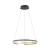 Paul Neuhaus Q-BELUGA Pendant Light LED gold, 1-light source, Remote control