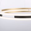 Paul Neuhaus Q-BELUGA Pendant Light LED gold, 1-light source, Remote control