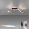 Paul Neuhaus Q-SWING Ceiling Light LED anthracite, gold, 1-light source, Remote control