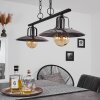 Weissport Pendant Light black, 2-light sources