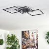 OBO Ceiling Light LED black, 1-light source
