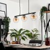 GASTOR Pendant Light - glass Amber, clear, 3-light sources