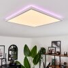 HOTINHAS Ceiling Light LED white, 1-light source, Remote control, Colour changer