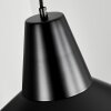 AIGLE Pendant Light black, 1-light source