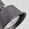 SAFARI Wall Light Ecru, black, 1-light source