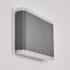 GRUDE Outdoor Wall Light LED anthracite, 2-light sources