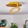 SUNRISE Ceiling Light LED gold, 1-light source