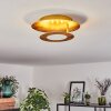 SUNRISE Ceiling Light LED gold, 1-light source