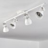 SALINAS Ceiling Light LED white, 4-light sources