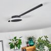 AMDAL Ceiling Light LED black, 2-light sources