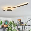 AMDAL Ceiling Light LED black, 2-light sources