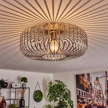 WEMUDE Ceiling Light silver, 1-light source