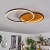 CARDOZO Ceiling Light LED Ecru, black, 1-light source