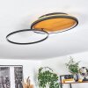 CARDOZO Ceiling Light LED Ecru, black, 1-light source
