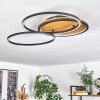 CARDOZO Ceiling Light LED Ecru, black, 1-light source