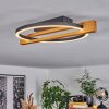 CARCANO Ceiling Light LED Ecru, black, 1-light source
