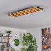 FAVORINA Ceiling Light LED Ecru, black, 1-light source