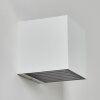BARRERO Outdoor Wall Light LED white, 1-light source