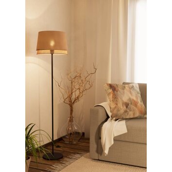 Eglo TABLEY Floor Lamp black, 1-light source