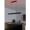 Eglo ANDREAS-Z Pendant Light LED black, 2-light sources, Colour changer