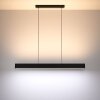Eglo ANDREAS-Z Pendant Light LED black, 2-light sources, Colour changer