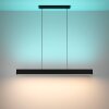Eglo ANDREAS-Z Pendant Light LED black, 2-light sources, Colour changer