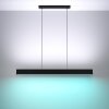 Eglo ANDREAS-Z Pendant Light LED black, 2-light sources, Colour changer