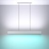Eglo ANDREAS-Z Pendant Light LED grey, 2-light sources, Colour changer