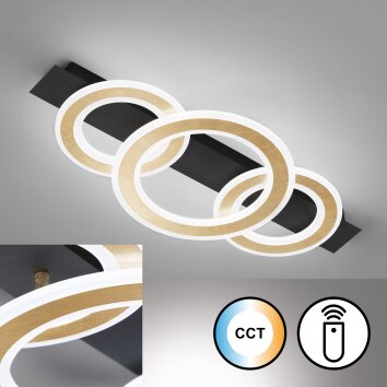 Fischer & Honsel CIRCLE Ceiling Light LED black, 1-light source, Remote control