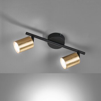 Fischer & Honsel VANO Ceiling Light LED black, 2-light sources
