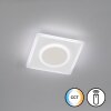 Fischer & Honsel BISI Ceiling Light LED white, 1-light source, Remote control