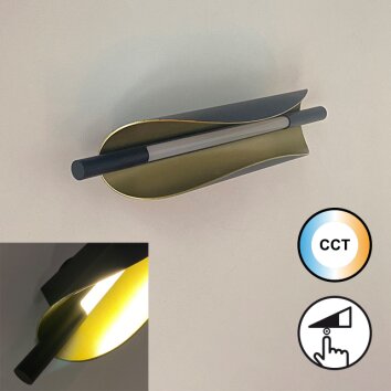 Fischer & Honsel SKAL Wall Light LED black, 1-light source