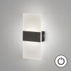 Fischer & Honsel FODER Wall Light LED black, 1-light source