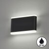 Fischer & Honsel SCOUNCE Wall Light LED black, 2-light sources