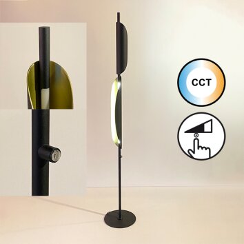 Fischer & Honsel SKAL Floor Lamp LED black, 1-light source