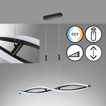 Fischer & Honsel TORCIDO Pendant Light LED black, 1-light source, Remote control