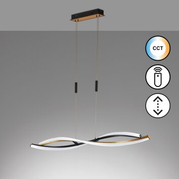 Fischer & Honsel TORCIDO Pendant Light LED black, 1-light source, Remote control