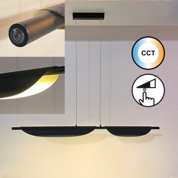 Fischer & Honsel SKAL Pendant Light LED black, 1-light source