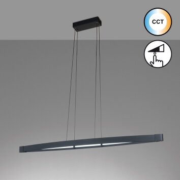 Fischer & Honsel FENGA Pendant Light LED black, 1-light source