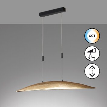 Fischer & Honsel COLMAR Pendant Light LED black, 6-light sources