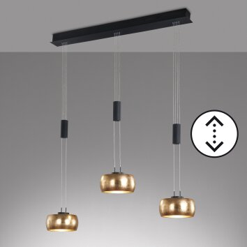 Fischer & Honsel COLETTE Pendant Light LED black, 3-light sources