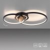 Leuchten-Direkt ASMINA Ceiling Light LED black, 2-light sources
